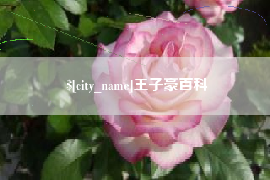 铜仁王子豪百科
