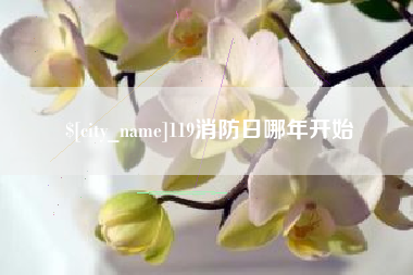 铜仁119消防日哪年开始