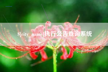 铜仁执行公告查询系统