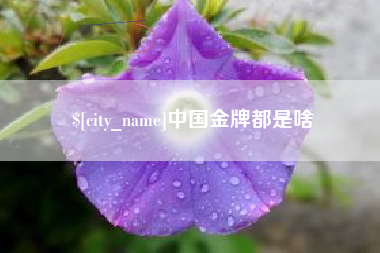 铜仁中国金牌都是啥