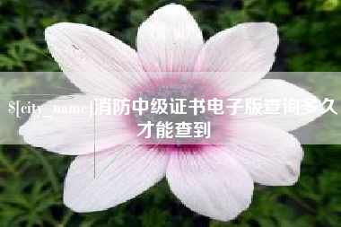 铜仁消防中级证书电子版查询多久才能查到