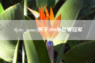 铜仁男子5000米世界冠军