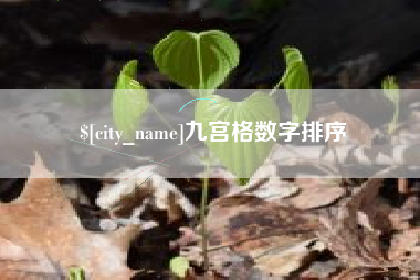 铜仁九宫格数字排序