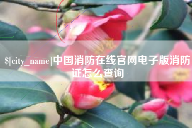 铜仁中国消防在线官网电子版消防证怎么查询