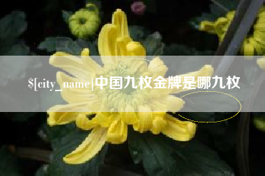 铜仁中国九枚金牌是哪九枚