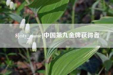 铜仁中国第九金牌获得者