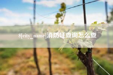 铜仁消防证查询怎么查
