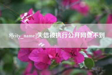 铜仁失信被执行公开网查不到