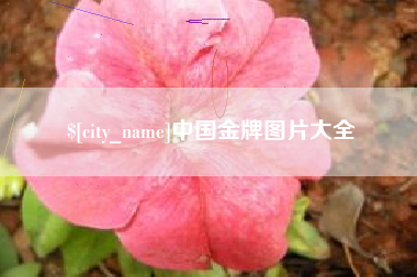 铜仁中国金牌图片大全