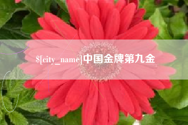 铜仁中国金牌第九金