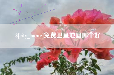 铜仁免费卫星地图哪个好