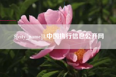 铜仁1.中国执行信息公开网