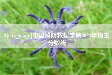 铜仁中国消防救援学院2024年招生分数线