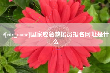 铜仁国家应急救援员报名网址是什么