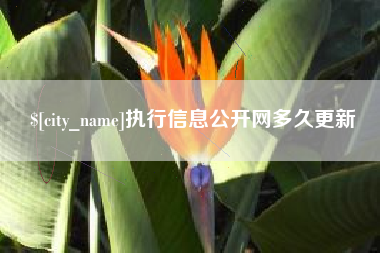 铜仁执行信息公开网多久更新