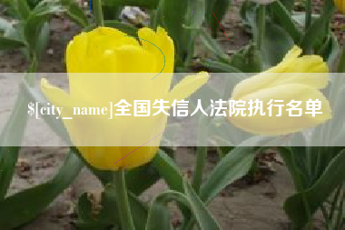 铜仁全国失信人法院执行名单