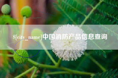 铜仁中国消防产品信息查询
