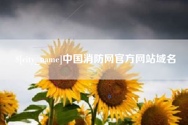 铜仁中国消防网官方网站域名