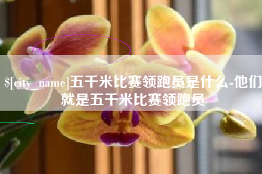 铜仁五千米比赛领跑员是什么-他们就是五千米比赛领跑员