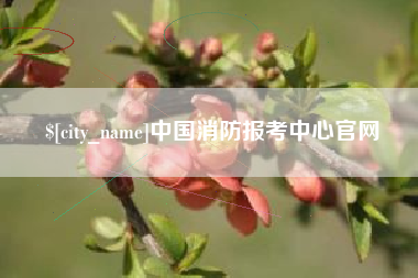 铜仁中国消防报考中心官网