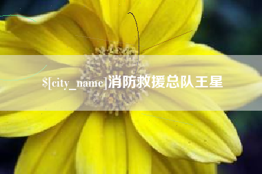 铜仁消防救援总队王星