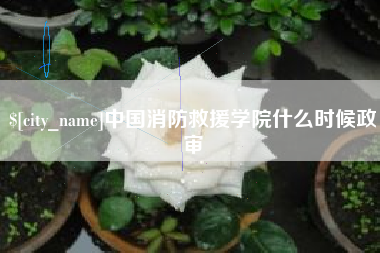 铜仁中国消防救援学院什么时候政审
