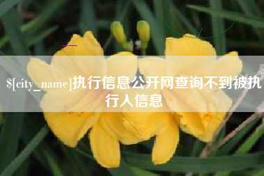 铜仁执行信息公开网查询不到被执行人信息