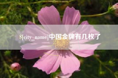 铜仁中国金牌有几枚了