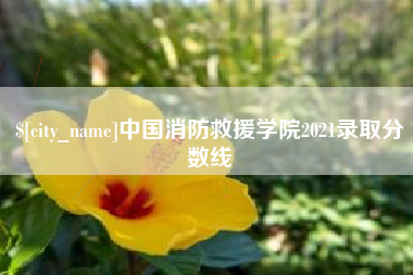铜仁中国消防救援学院2021录取分数线
