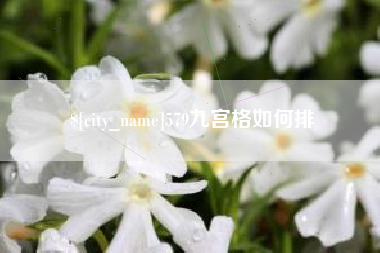 铜仁579九宫格如何排