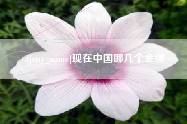 铜仁现在中国哪几个金牌
