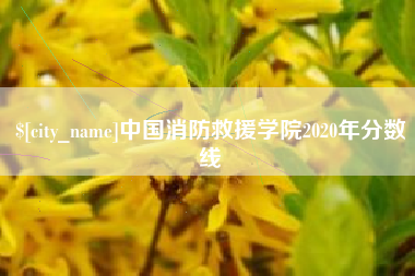 铜仁中国消防救援学院2020年分数线