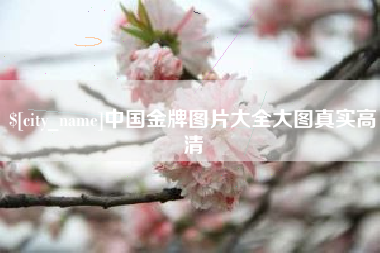 铜仁中国金牌图片大全大图真实高清