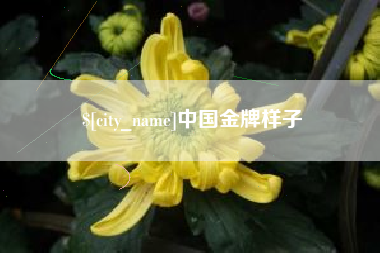 铜仁中国金牌样子