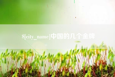 铜仁中国的几个金牌