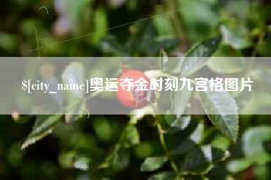 铜仁奥运夺金时刻九宫格图片