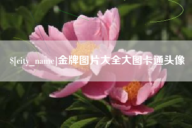 铜仁金牌图片大全大图卡通头像
