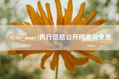 铜仁执行信息公开网查询免费