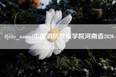 铜仁中国消防救援学院河南省2020